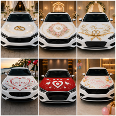 Car Cover Özel Gün